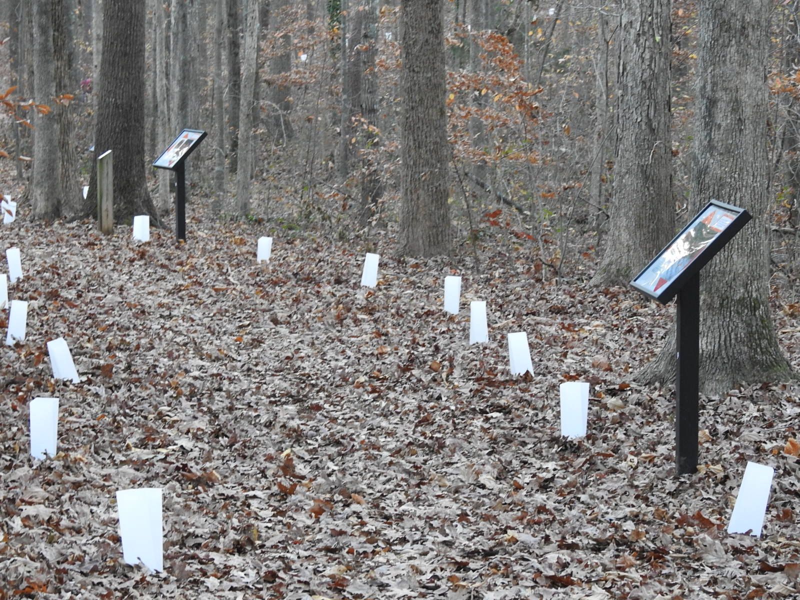 Beth Schmidt Walking Trail